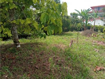 Venta Chalet Tebaida Quindio COD: 4458183