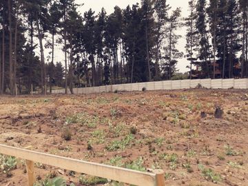 Se vende terreno de 1500 metros Calle Calafquen, Los Pinos Reñaca An.-