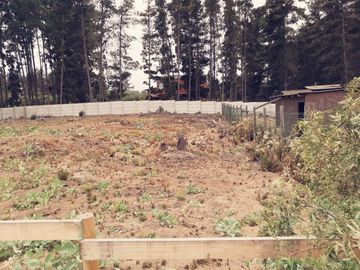 Se vende terreno de 1500 metros Calle Calafquen, Los Pinos Reñaca An.-