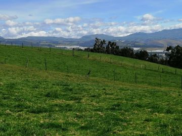 HERMOS FINCA DE 12 HAS EN VENTA