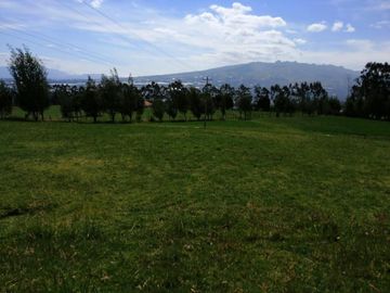 HERMOS FINCA DE 12 HAS EN VENTA