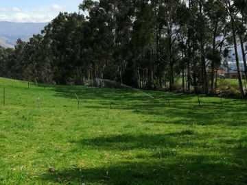 HERMOS FINCA DE 12 HAS EN VENTA