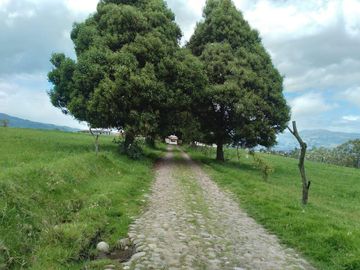 HERMOS FINCA DE 12 HAS EN VENTA
