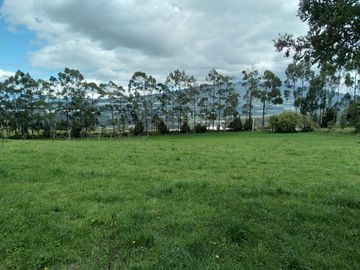 HERMOS FINCA DE 12 HAS EN VENTA