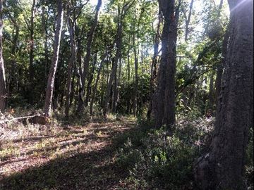 Parcela en Venta en SANTA AIDA HIJ− 8 LT− 44 TREGUALEMU