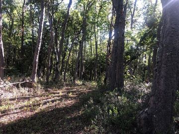 Parcela en Venta en SANTA AIDA HIJ− 8 LT− 44 TREGUALEMU