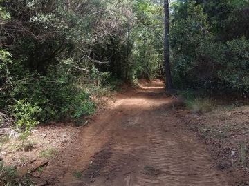 Parcela en Venta en SANTA AIDA HIJ− 8 LT− 44 TREGUALEMU