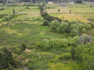 Sitio en Venta en Ubicado a 54 Km de Concepcion, a 6 km de Quillon y a 2,5 Km de Chillancito a través de camino asfaltado