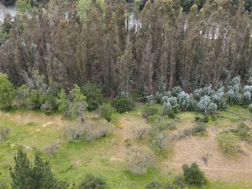 Sitio en Venta en Ubicado a 54 Km de Concepcion, a 6 km de Quillon y a 2,5 Km de Chillancito a través de camino asfaltado