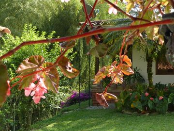 VENTA CASA CAMPESTRE VIA A BARCELONA - QUINDIO