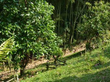 VENTA CASA CAMPESTRE VIA A BARCELONA - QUINDIO