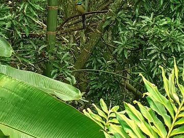 VENTA CASA CAMPESTRE VIA A BARCELONA - QUINDIO