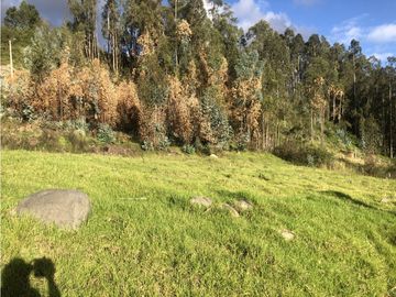 Venta de Terreno, Cuenca, Sidcay, Urbanización CIEELA,  424m²