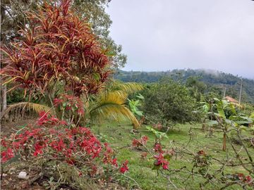 Venta de Quinta Amueblada, Pucará, Sector Las Palmas, 1873 m²