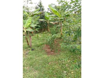 VENDO CASA LOTE EN RIO SERENO CHIRIQU