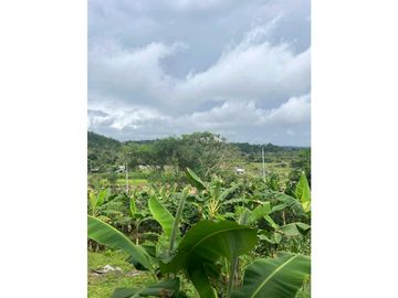VENDO CASA LOTE EN RIO SERENO CHIRIQU