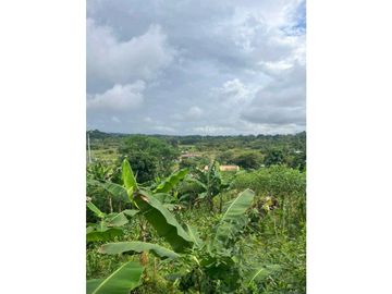 VENDO CASA LOTE EN RIO SERENO CHIRIQU