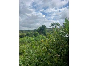 VENDO CASA LOTE EN RIO SERENO CHIRIQU