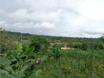 VENDO CASA LOTE EN RIO SERENO CHIRIQU