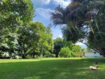 Finca en Venta Ubicado en Santafe De Antioquia Codigo 5542