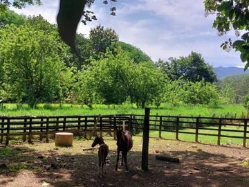 Finca en Venta Ubicado en Santafe De Antioquia Codigo 5542