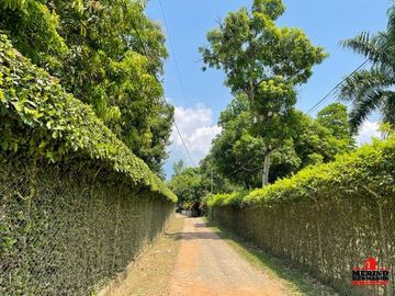Finca en Venta Ubicado en Santafe De Antioquia Codigo 5542