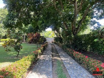 Finca en Venta Ubicado en Santafe De Antioquia Codigo 5542