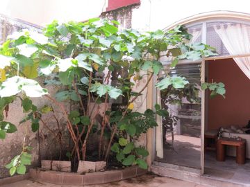 casa en venta  para remodelar en una de las mejores zonas del sur de la ciudad