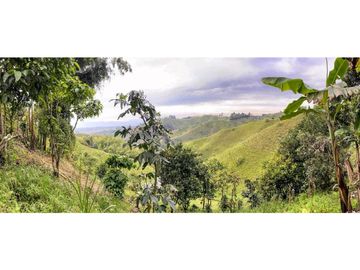 Se Vende Finca De Agroturismo En Filandia Quindio