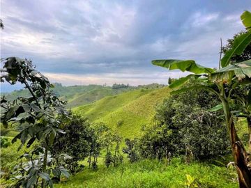 Se Vende Finca De Agroturismo En Filandia Quindio