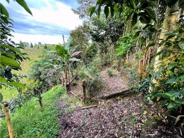 Se Vende Finca De Agroturismo En Filandia Quindio