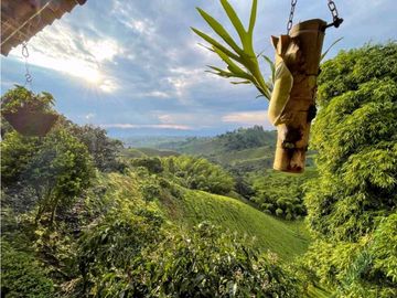 Se Vende Finca De Agroturismo En Filandia Quindio