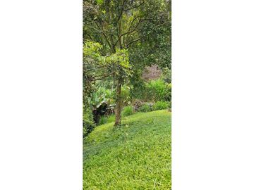 SE VENDE ESPECTACULAR FINCA CAFETERA A 40 MINUTOS DE MANIZALES