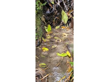 SE VENDE ESPECTACULAR FINCA CAFETERA A 40 MINUTOS DE MANIZALES