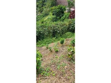 SE VENDE ESPECTACULAR FINCA CAFETERA A 40 MINUTOS DE MANIZALES