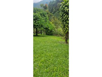 SE VENDE ESPECTACULAR FINCA CAFETERA A 40 MINUTOS DE MANIZALES