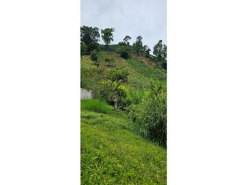 SE VENDE ESPECTACULAR FINCA CAFETERA A 40 MINUTOS DE MANIZALES