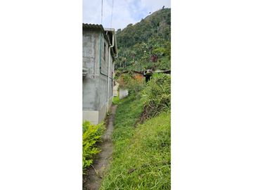 SE VENDE ESPECTACULAR FINCA CAFETERA A 40 MINUTOS DE MANIZALES