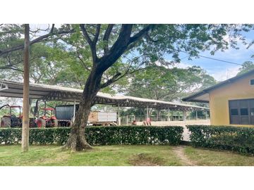 Finca ganadera de 121 hectáreas en venta en Polo Nuevo, Atlántico