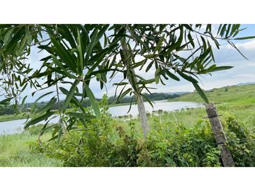 Finca ganadera de 121 hectáreas en venta en Polo Nuevo, Atlántico
