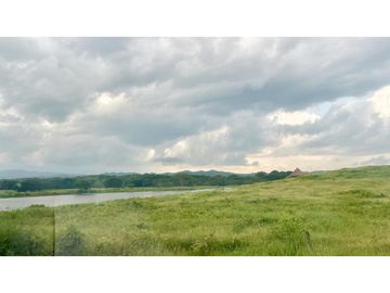Finca ganadera de 121 hectáreas en venta en Polo Nuevo, Atlántico