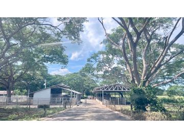 Finca ganadera de 121 hectáreas en venta en Polo Nuevo, Atlántico