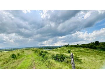 Finca ganadera de 121 hectáreas en venta en Polo Nuevo, Atlántico