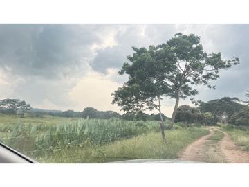 Finca ganadera de 121 hectáreas en venta en Polo Nuevo, Atlántico