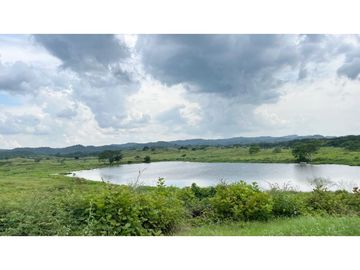 Finca ganadera de 121 hectáreas en venta en Polo Nuevo, Atlántico