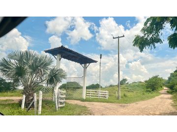 Finca ganadera de 121 hectáreas en venta en Polo Nuevo, Atlántico