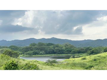 Finca ganadera de 121 hectáreas en venta en Polo Nuevo, Atlántico