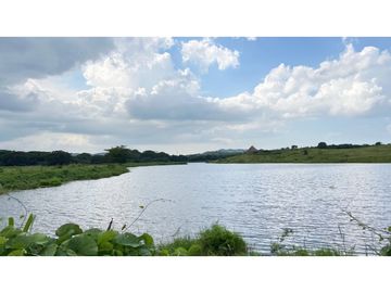 Finca ganadera de 121 hectáreas en venta en Polo Nuevo, Atlántico