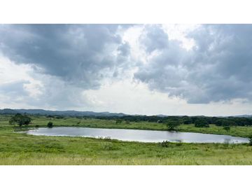 Finca ganadera de 121 hectáreas en venta en Polo Nuevo, Atlántico