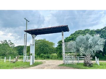 Finca ganadera de 121 hectáreas en venta en Polo Nuevo, Atlántico